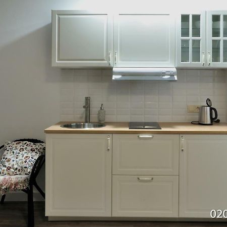 וילנה Luxurious Apartment מראה חיצוני תמונה